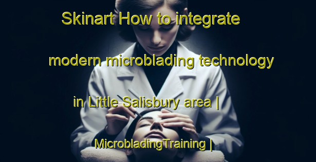 Skinart How to integrate modern microblading technology in Little Salisbury area | MicrobladingTraining | MicrobladingClasses | SkinartTraining-United States
